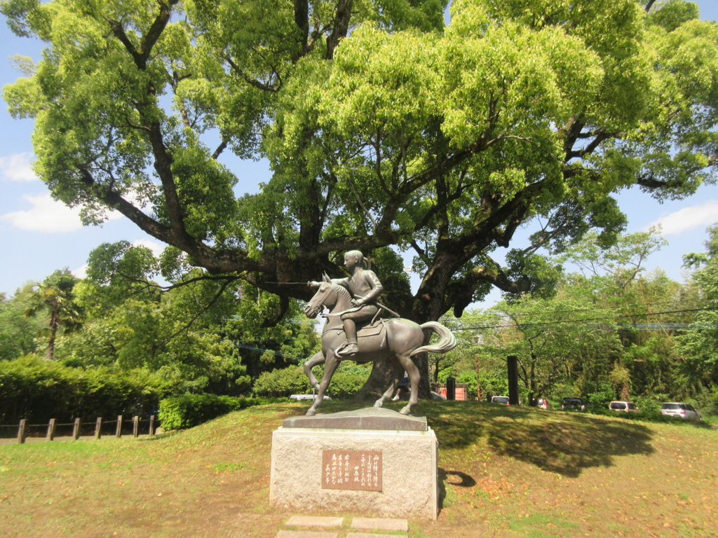 田原坂への探訪　⑦