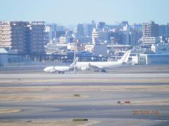 昨年の羽田空港にて