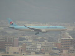 KOREAN AIR  A330-300　福岡空港