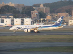 ANA　B787-8