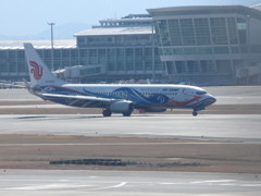 AIR CHINA　鳳凰塗装到着