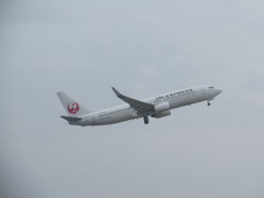 JAL737離陸