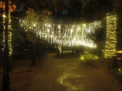 大濠公園のイルミネーション⑥