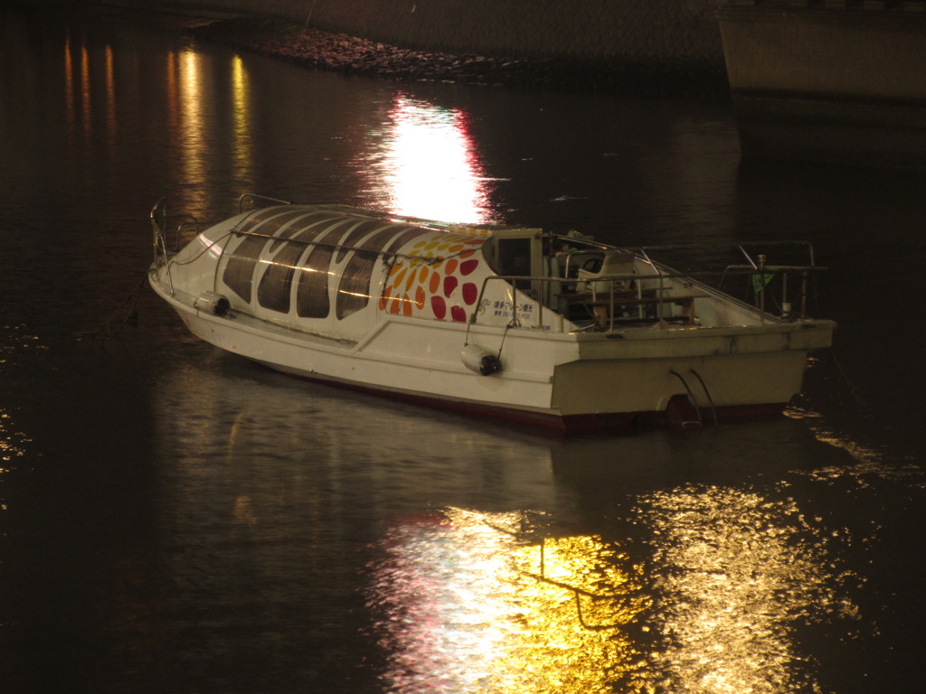 夜の川に停泊する遊覧船