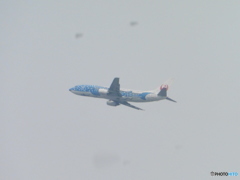 遠くから見た青のジンベエ