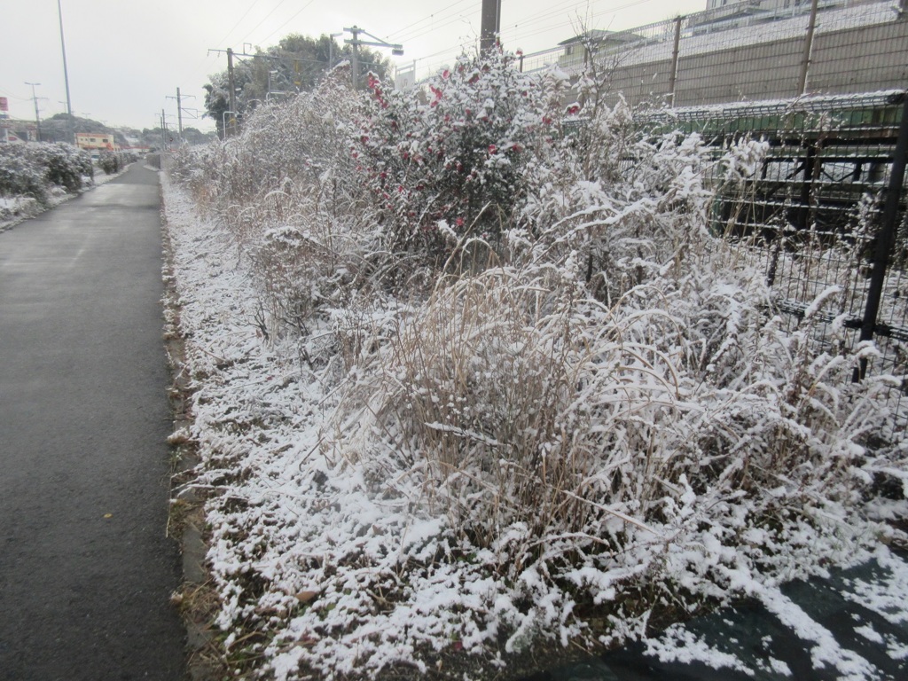佐賀県基山町の積雪　⑦
