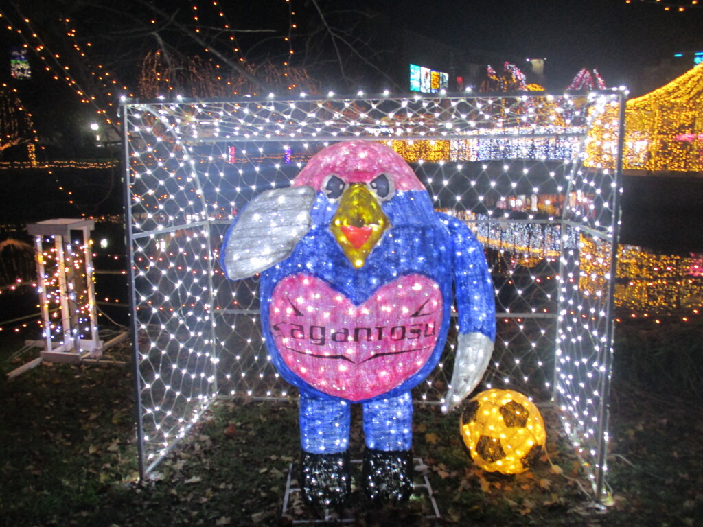 佐賀県鳥栖市中央公園のイルミネーション　⑪