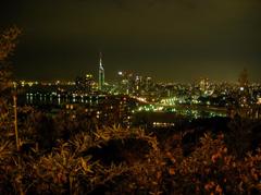 福岡市西区からの夜景