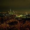 福岡市西区からの夜景