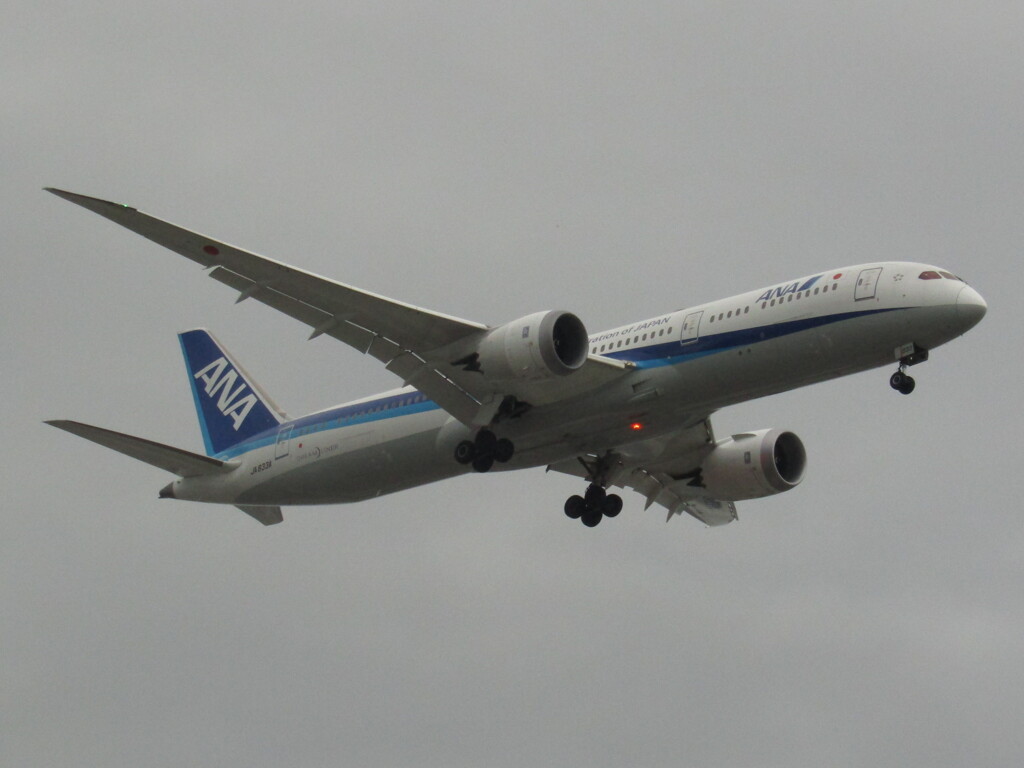 ANA  B787-9  福岡ランディング