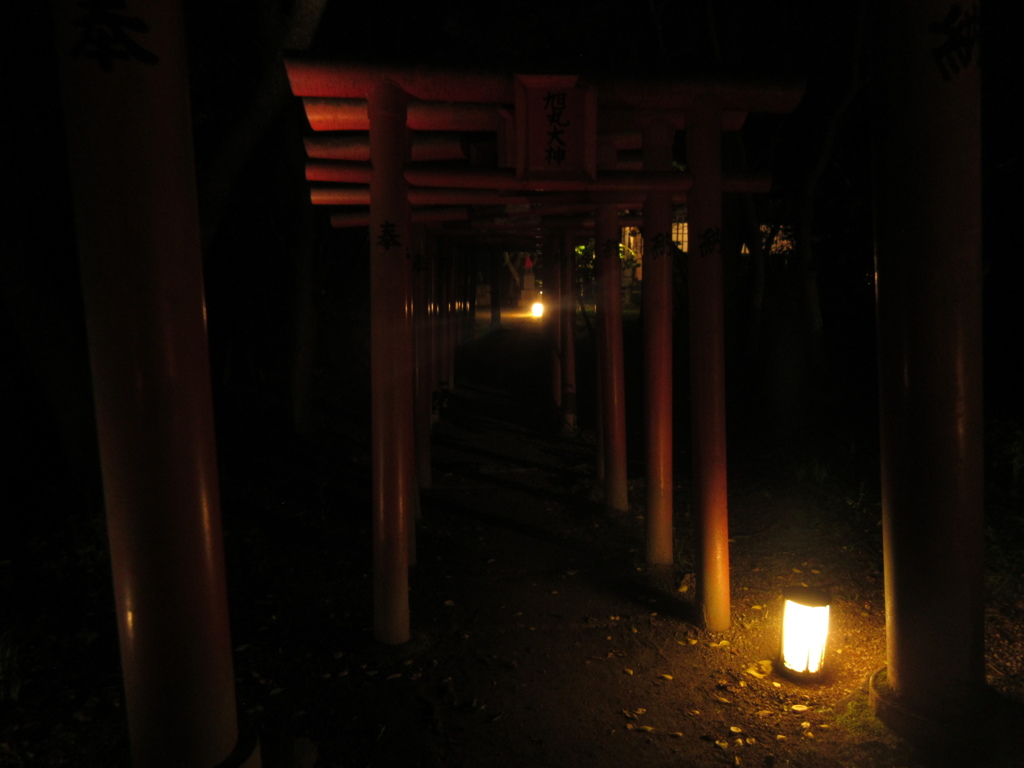 暗闇の参道