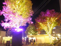 天神のクリスマス　③