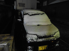 雪をかぶった車