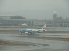 ジンベエ離陸②