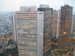 都庁からの眺め