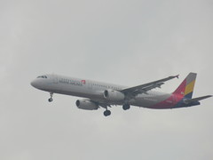 ASIANA A321