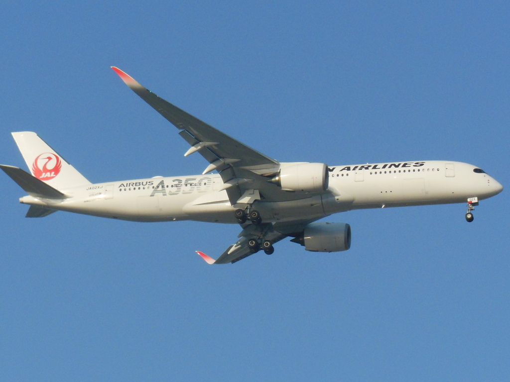 JAL A350　福岡空港へのアプローチ　