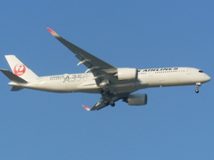 JAL A350　福岡空港へのアプローチ　