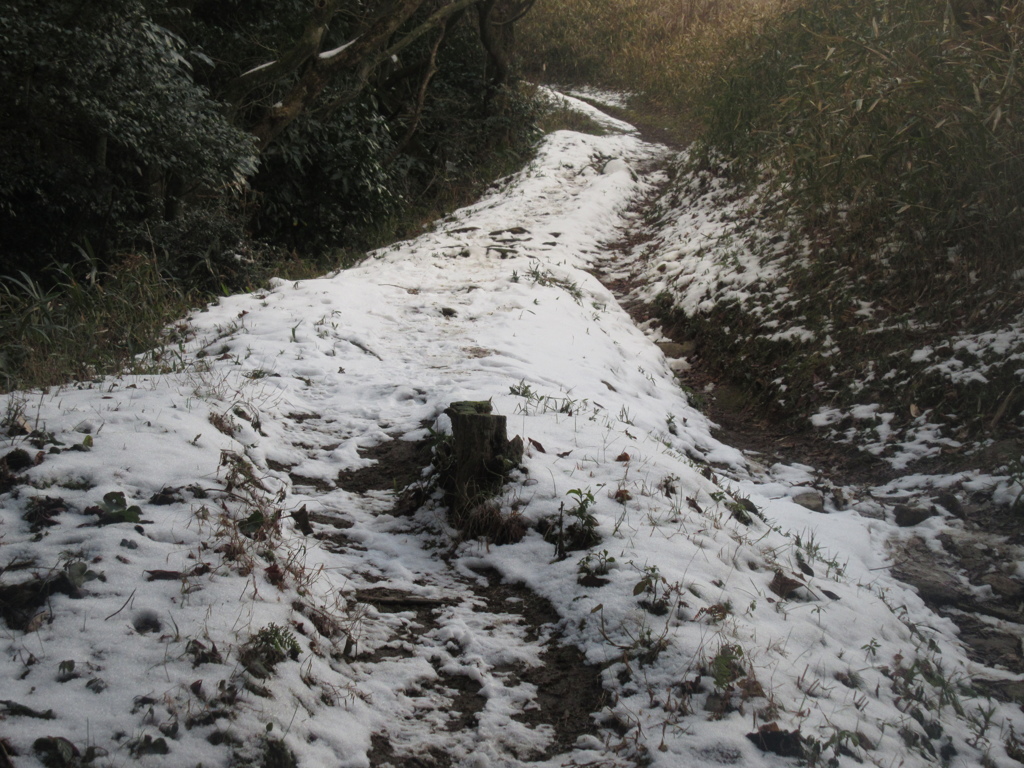 雪の積もった山頂より①