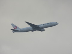 離陸するJALのダイキンオーキッドジェット