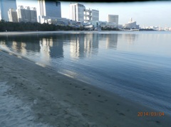 お台場海浜公園での光景③