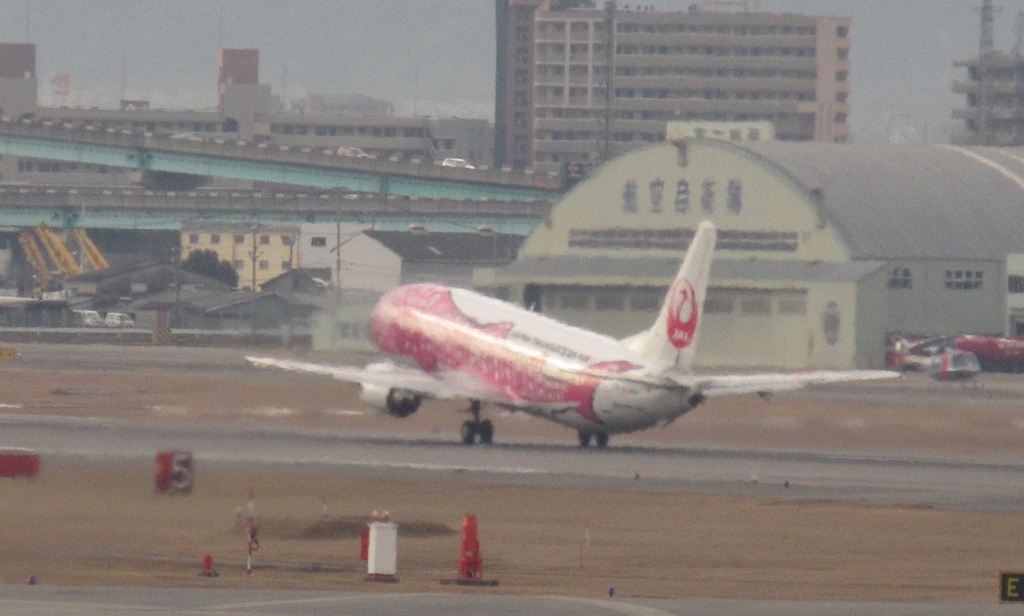 ピンクジンベエ離陸②