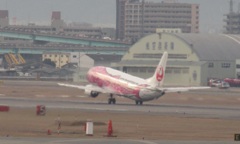 ピンクジンベエ離陸②