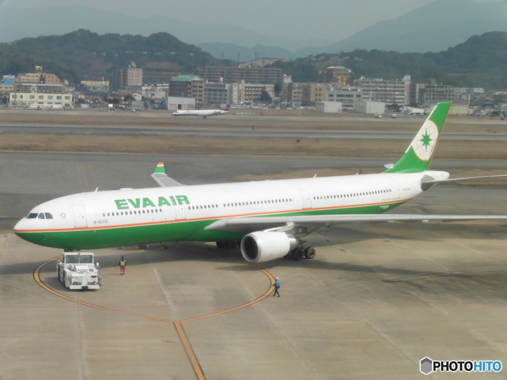 EVA  A330-300②