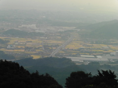 山頂から眺める平野部