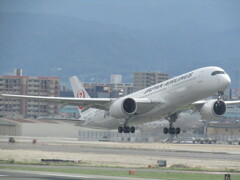 JAL　福岡空港にて　①