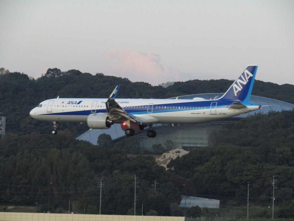 ANA  A321neo  JA134Aのランディング