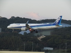 ANA  A321neo  JA134Aのランディング