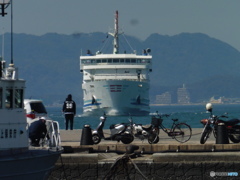 釣り人と到着するフェリー