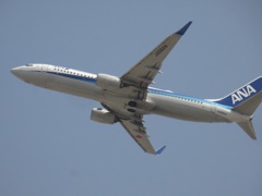 ANA 737-800  JA68AN　①