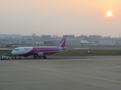 夕日に照らされて出発するピーチアビエーション
