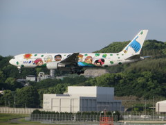 ANA　B７６７　ゆめジェット到着