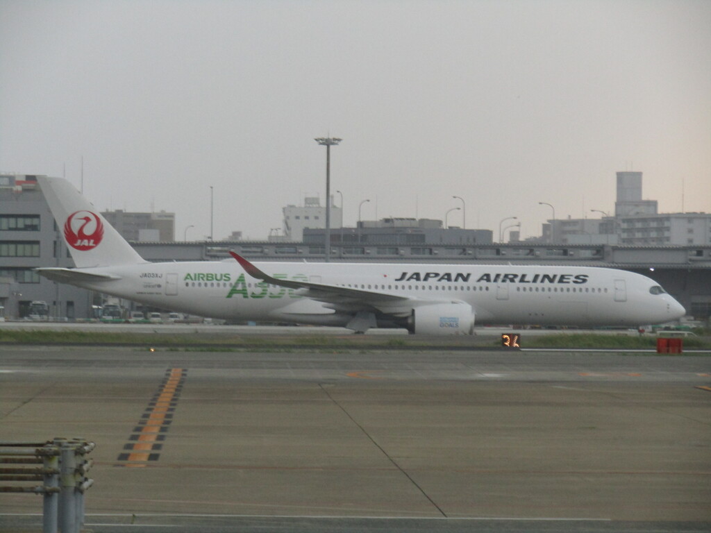 台風の影響で福岡空港で待機する機体　⑥