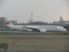 台風の影響で福岡空港で待機する機体　⑥