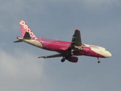 PEACH  JA04VA  福岡空港