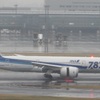 ANA　B787雨の中到着