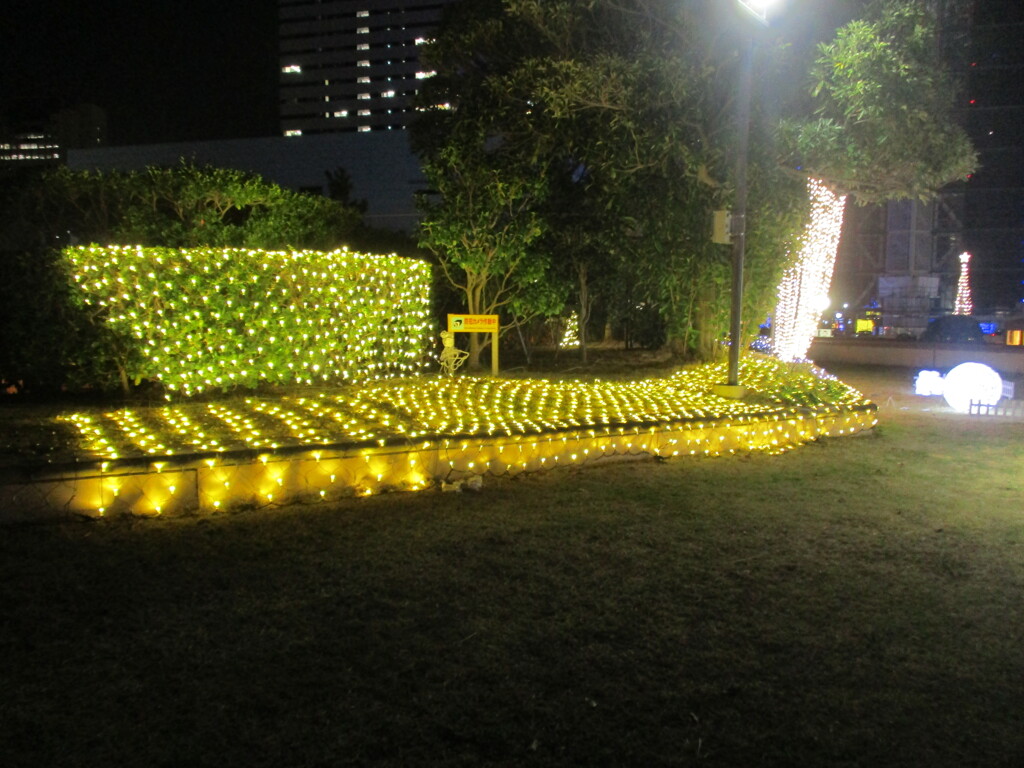 百道浜クリスマスイルミネーション　⑦