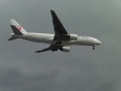 JAL　B777の着陸 JA009D