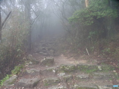 霧のかかった山道③