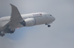 タイ航空　B787