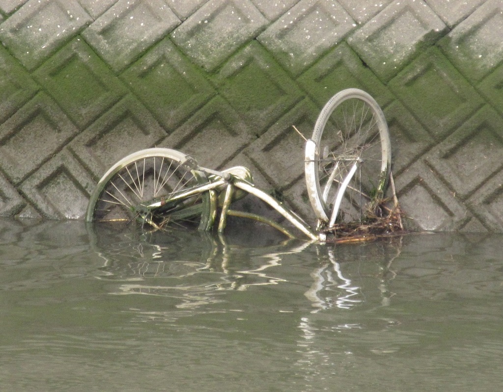 川に捨てられた自転車