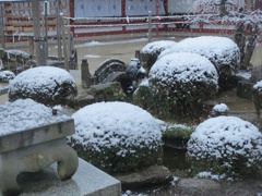 太宰府天満宮と雪　⑥