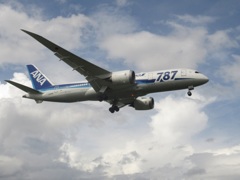 ANA B787 JA818A
