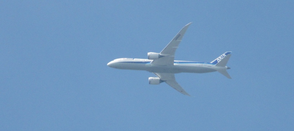 上空を飛ぶANA　B787-9