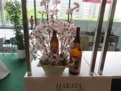 博多シティのHANAMI BAR 1
