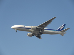 ANA  777-200のランディング